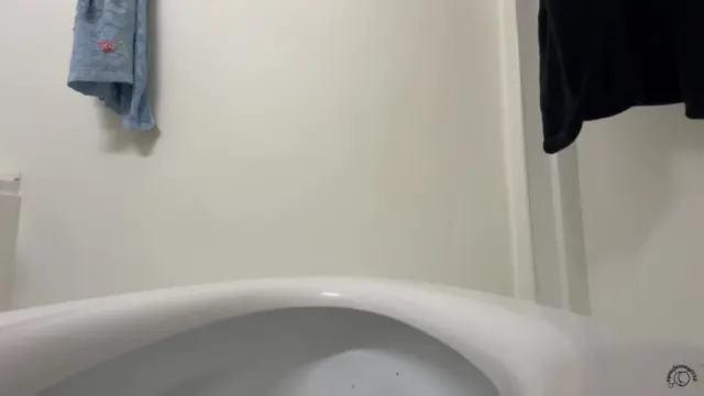 BIG ASS LOGS TOILET DROP